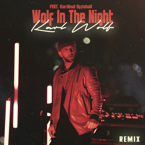 Wolf in the Night (Remix)