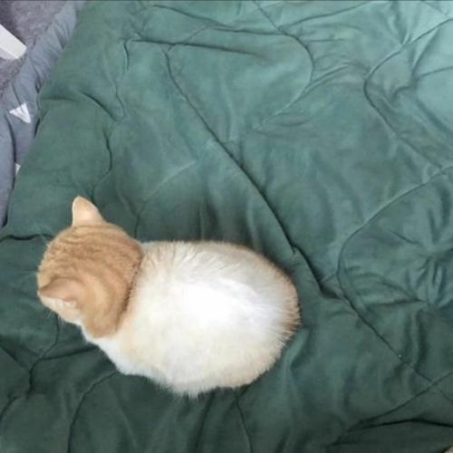 rooooobbed (Explicit)