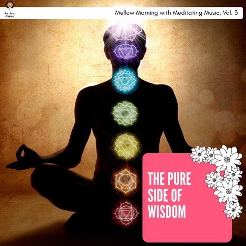 The Pure Side Of Wisdom - Mellow Morning With Meditating Music, Vol. 3