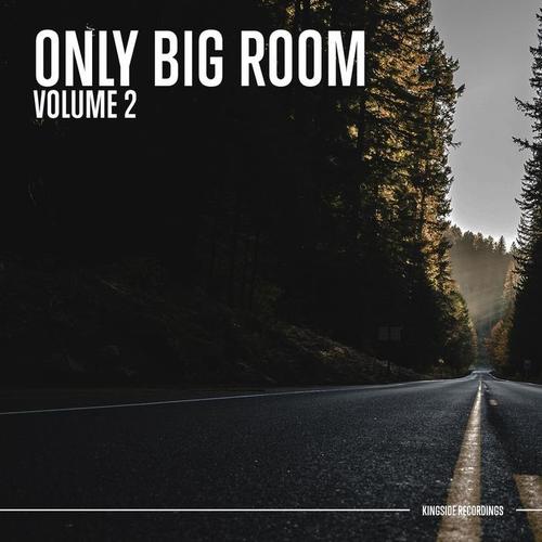 Only Big Room (Volume 2)