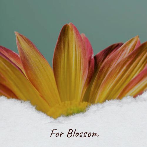 For Blossom