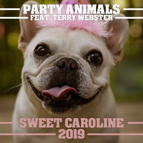 Sweet Caroline 2019 (Christmas Radio Edit)