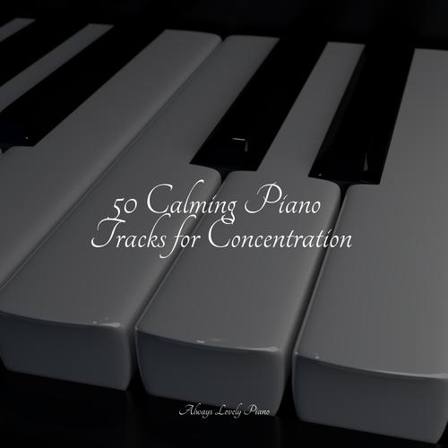 50 Calming Piano Tracks for Concentration