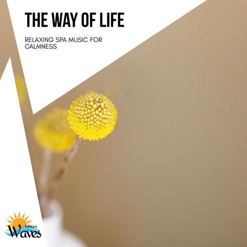 The Way of Life - Relaxing Spa Music for Calmness