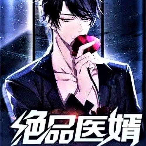网剧《绝品医婿》