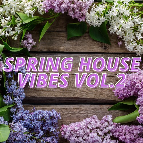 Spring House Vibes Vol.2