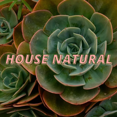 House Natural