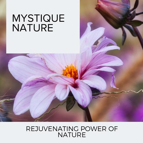 Mystique Nature - Rejuvenating Power of Nature