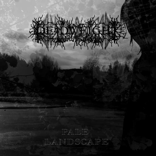 Pale Landscape (Explicit)