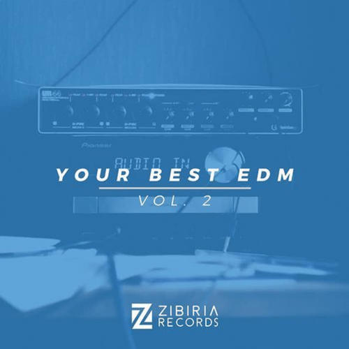 Your Best EDM, Vol. 2