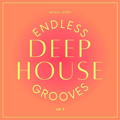 Endless Deep-House Grooves, Vol. 3 (Explicit)