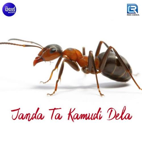 Janda Ta Kamudi Dela