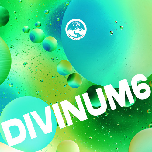 Divinum 6