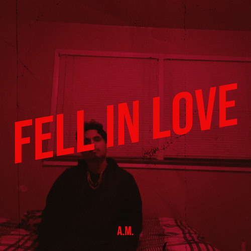 Fell in Love (Explicit)