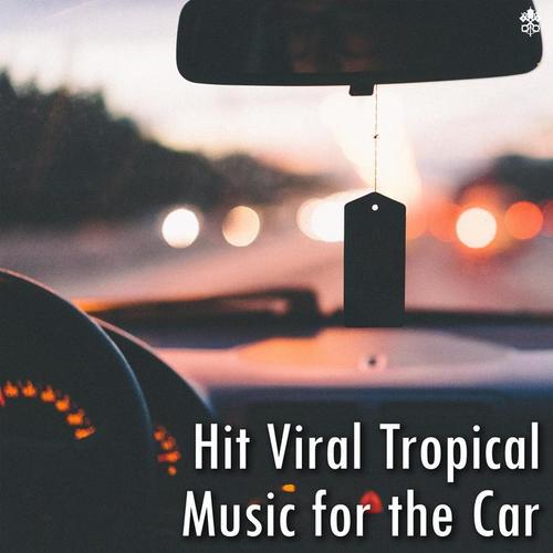 Hit Viral Tropical Music for the Car