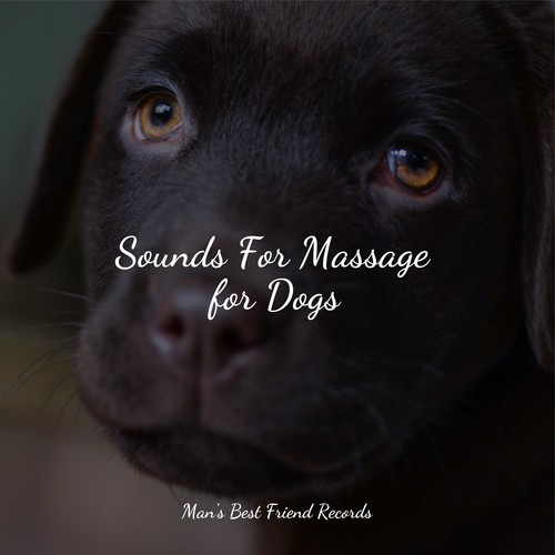 Sounds For Massage for Dogs