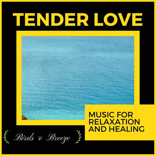 Tender Love - Music For Relaxation And Healing