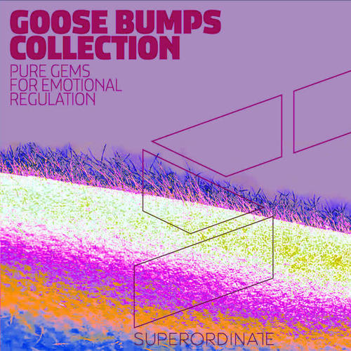 Goose Bumps Collection, Vol. 5