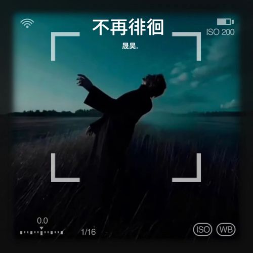 不再徘徊