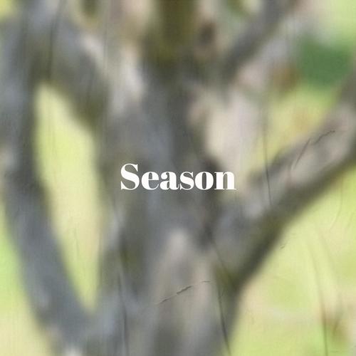 Season