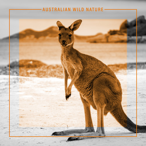 Australian Wild Nature: Relaxation Music for National Aboriginal Day