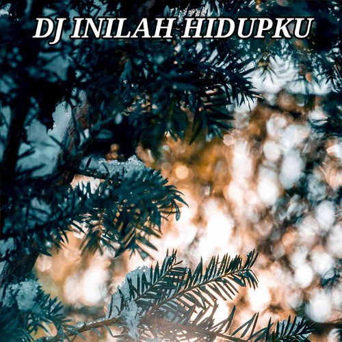 DJ INILAH DIRIKU