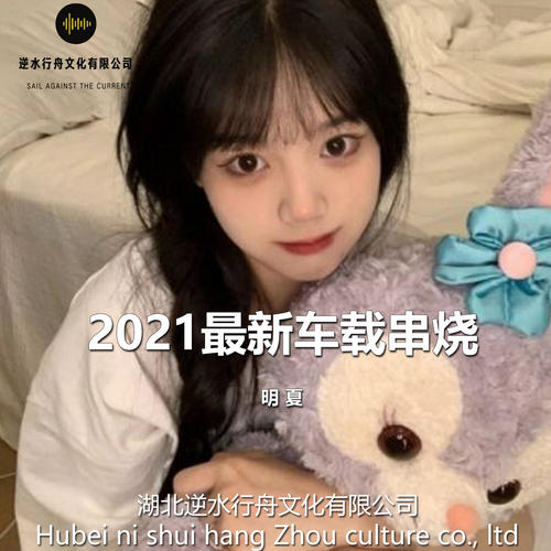 2021最新中文车载串烧