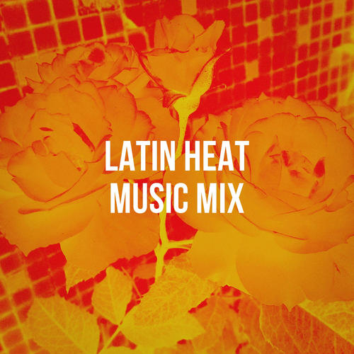 Latin Heat Music Mix