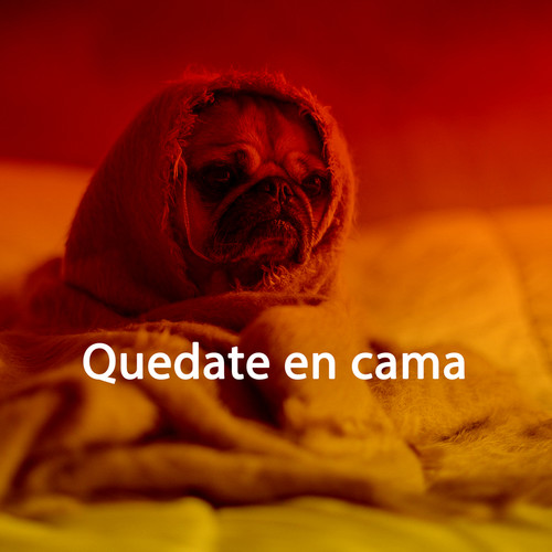 Quedate en cama