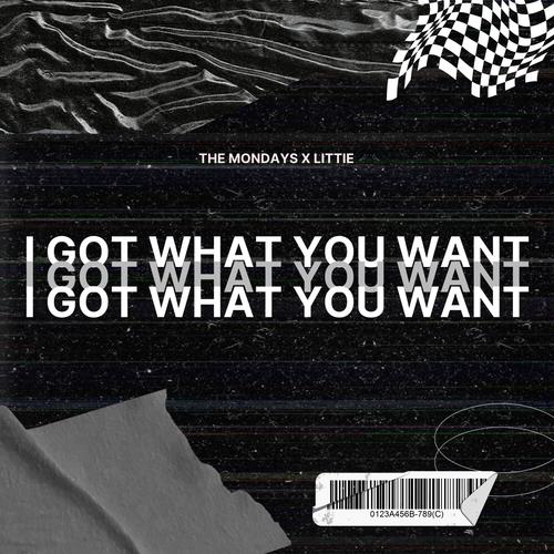 I Got What You Want (feat. Leslie Powell & Kali J)