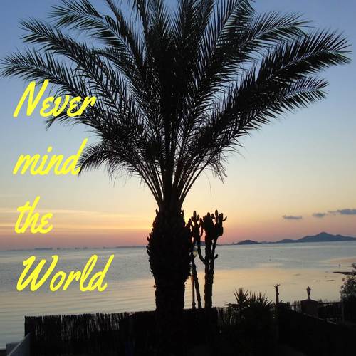 Never Mind the World