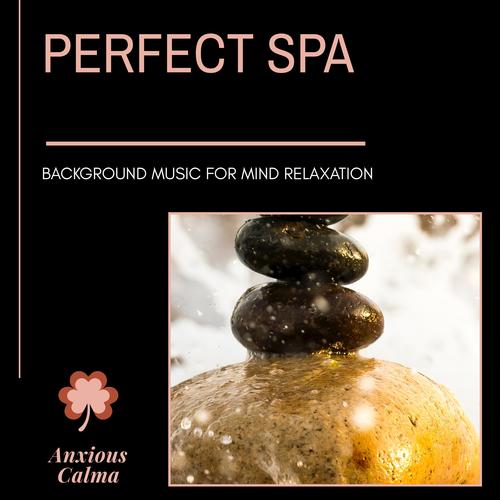 Perfect Spa - Background Music For Mind Relaxation