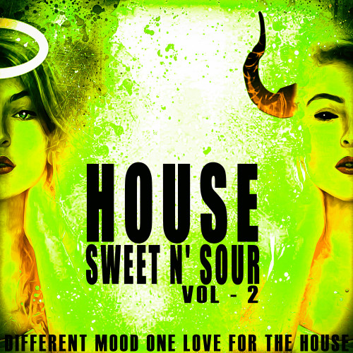 House Sweet N' Sour, Vol. 2