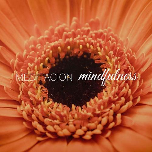 Meditación Mindfulness: Música para Aprender a Relajarse y Meditar