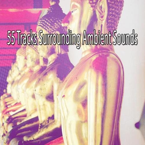 55 Tracks Surrounding Ambient Sounds