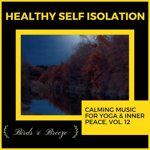 Healthy Self Isolation - Calming Music For Yoga & Inner Peace, Vol. 12