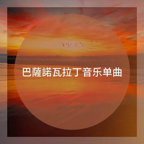 巴薩諾瓦拉丁音乐单曲