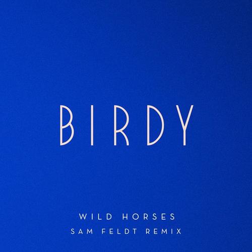 Wild Horses (Sam Feldt Remix)