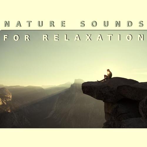 Nature Sounds for Relaxation – Chilled New Age Music, Sounds of Nature, Calming Music to Rest, Time for Break