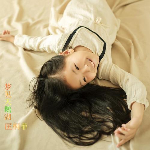 梦见天鹅湖（Remix）