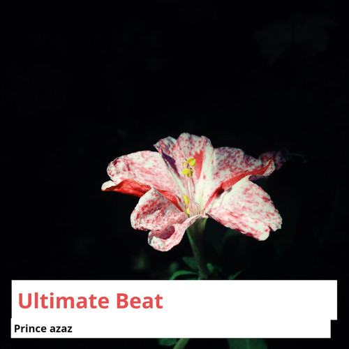 Ultimate Beat