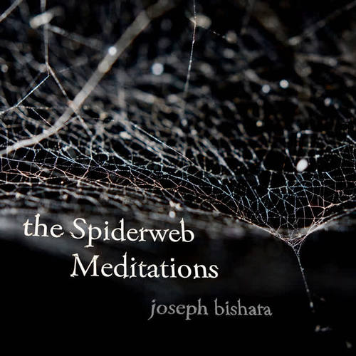 the Spiderweb Meditations