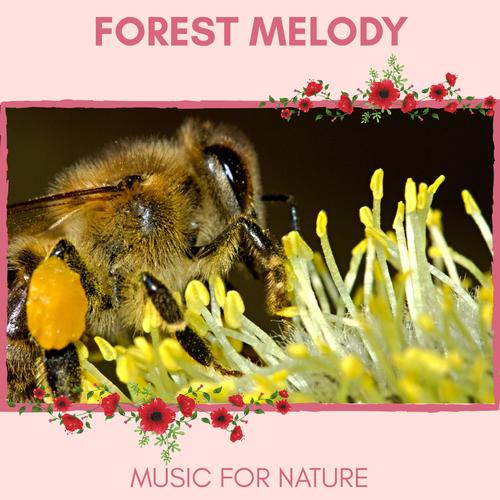 Forest Melody - Music for Nature