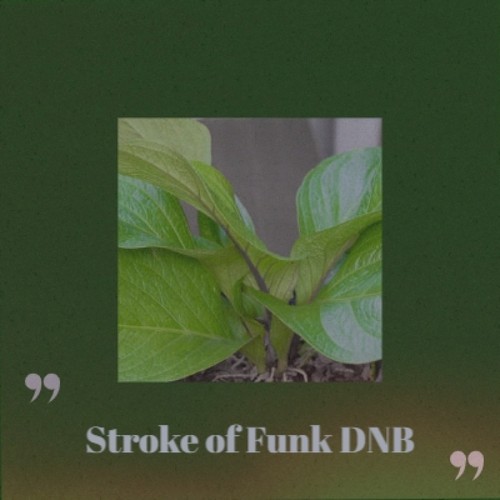 Stroke of Funk DNB