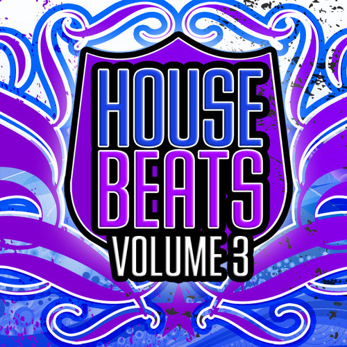 House Beats, Vol. 3