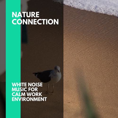 Nature Connection - White Noise Music for Calm Work Environment