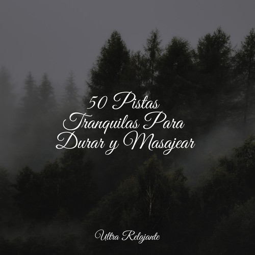 50 Pistas Tranquilas Para Durar y Masajear