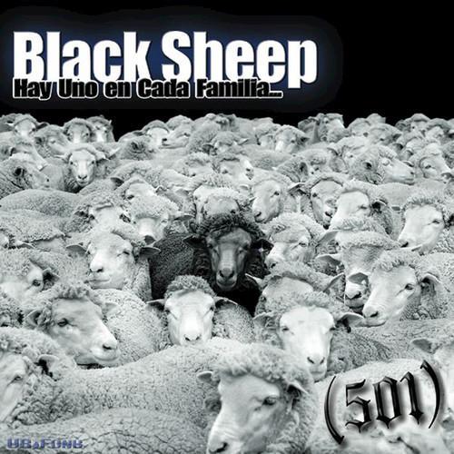 Black Sheep