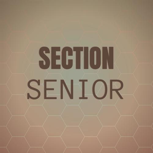 Section Senior