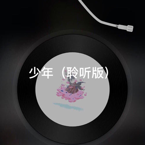少年
